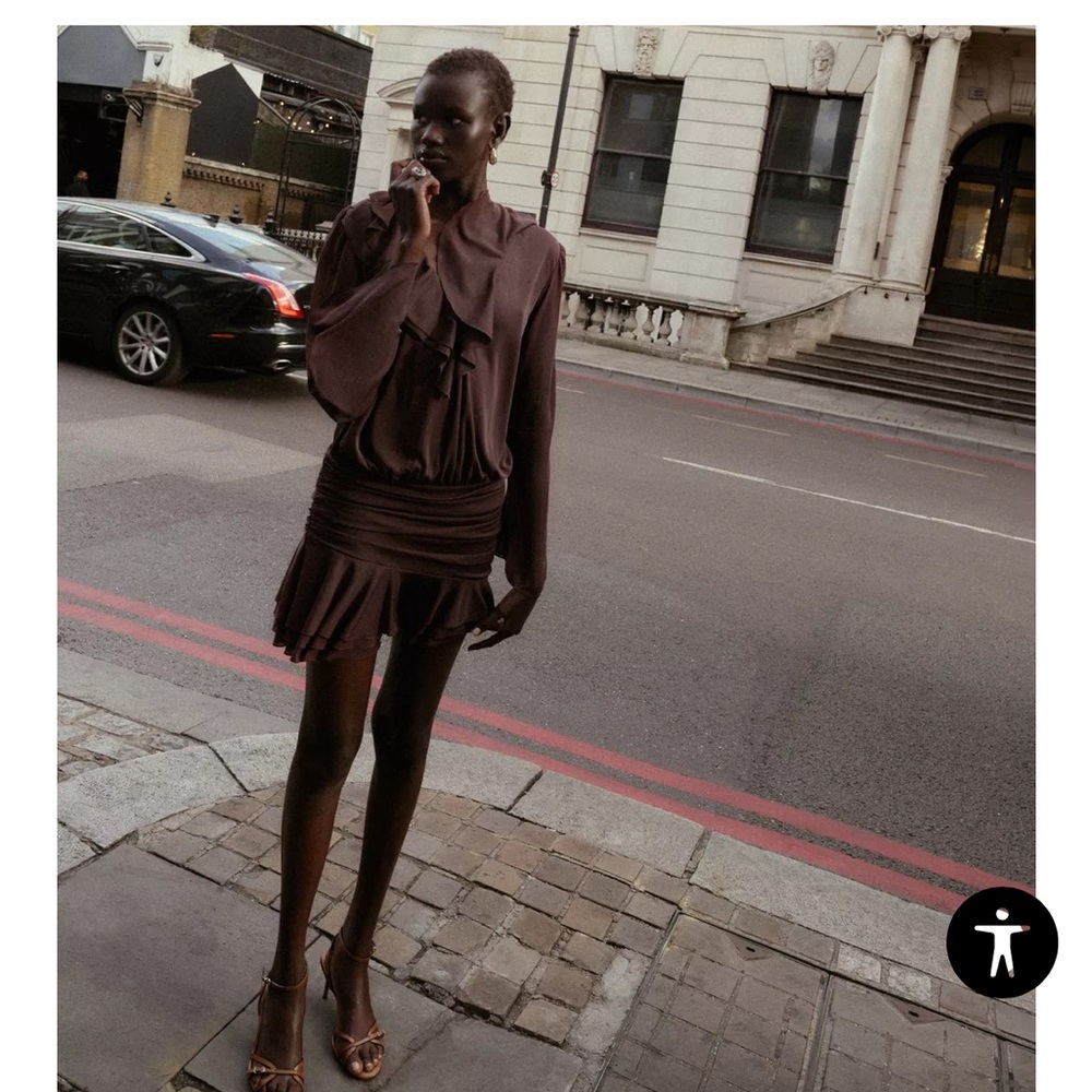 Chic Brown Mini Ruffle Dress from Zara BNWT
